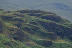 DSC03345