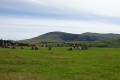 DSC03346