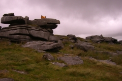 bodmin2