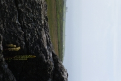 P1140372