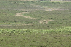 P1140375