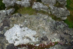P1140380