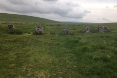 grey-wethers-16