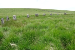 grey-wethers-3