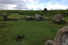 Dartmoor - Marden Down