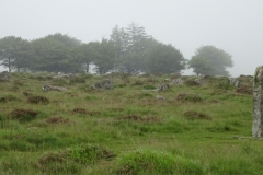 Merrivale-14