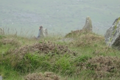 Merrivale-16