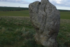 CIMG1046