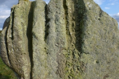 P1130995