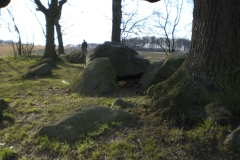 CIMG4441