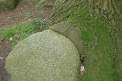 CIMG5872