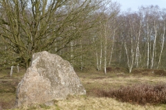 P1040263