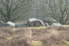 P1040266