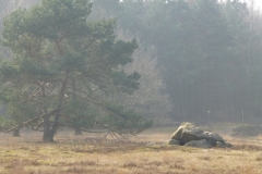 P1040272
