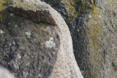 P1040274