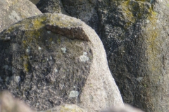 P1040275