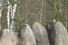 P1040287