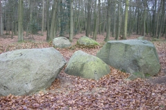 CIMG8259