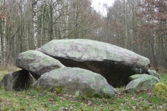CIMG8301