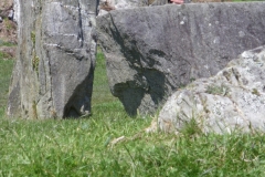 IMGP5078