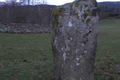 1_CIMG0783