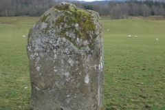 CIMG0782