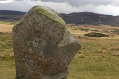 CIMG0964
