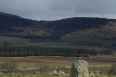 CIMG0978