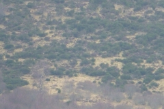 P1130894