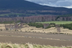 P1130897