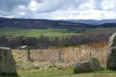 P1130906