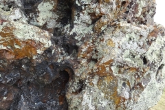 DSC00902