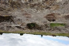 DSC00905