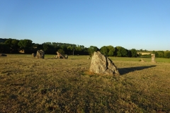 DSC00949