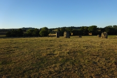 DSC00954