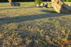 DSC00958