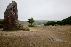 The-Longstone-Mottistone-2