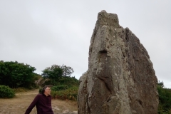The-Longstone-Mottistone-5