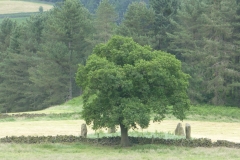 P1150598