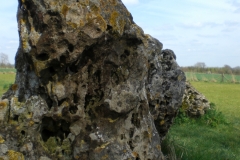 CIMG1186