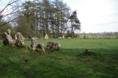 IMGP1617