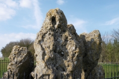 IMGP1636