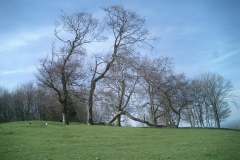 CIMG5654