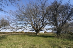 IMG_20250326_135451