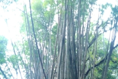 PANO_2024-12-15_13-29-593