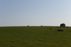 CIMG1445