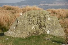 IMGP1719