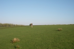 IMGP1727