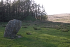 IMGP1729