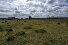 Wales - Gors Fawr